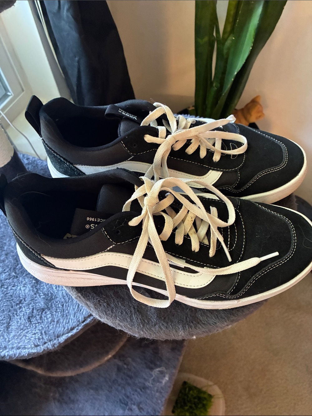 Vans Black and White Low-Top Sneakers